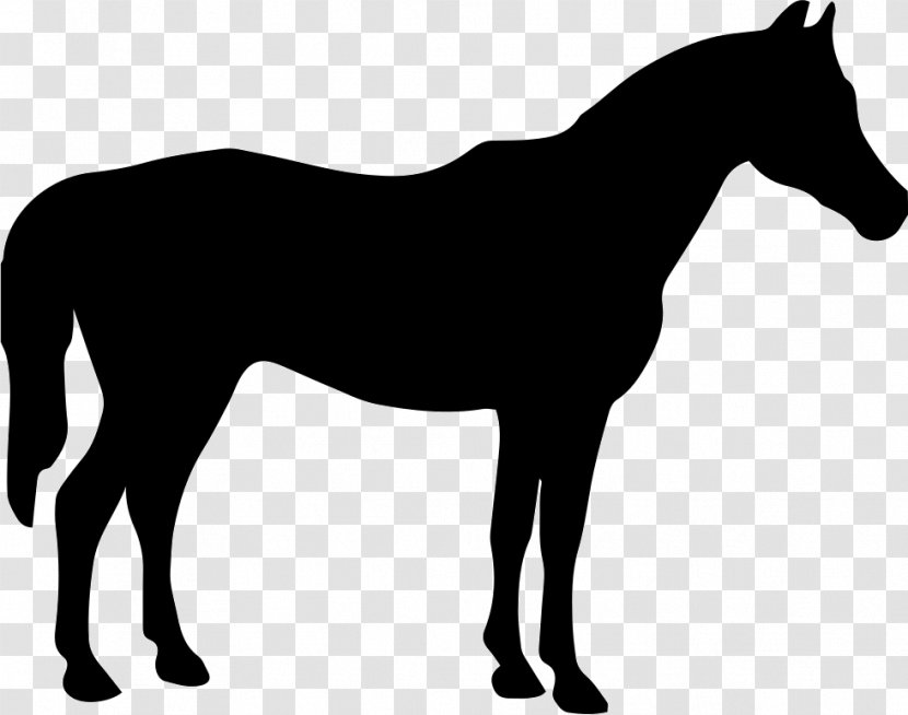 Silhouette Clip Art - Foal Transparent PNG