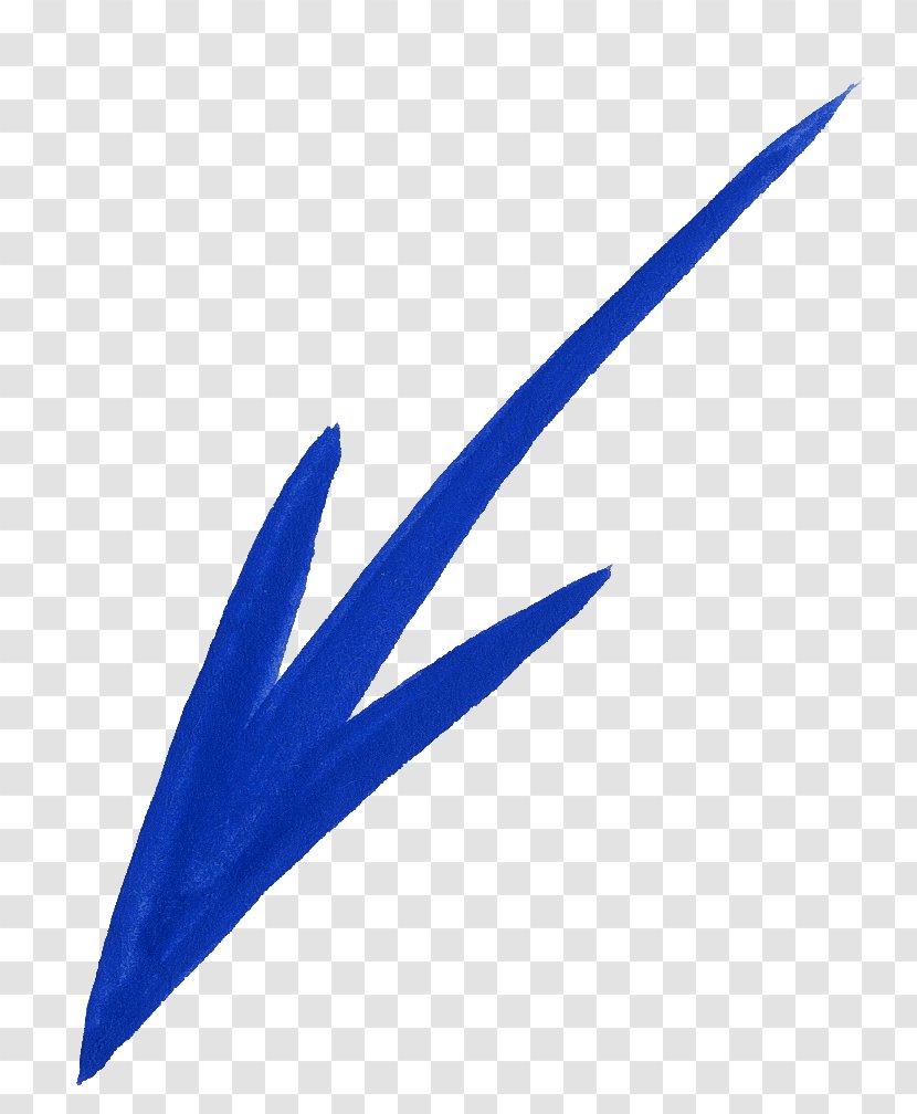 Arrow Caricature Drawing - Wing - Widen Transparent PNG