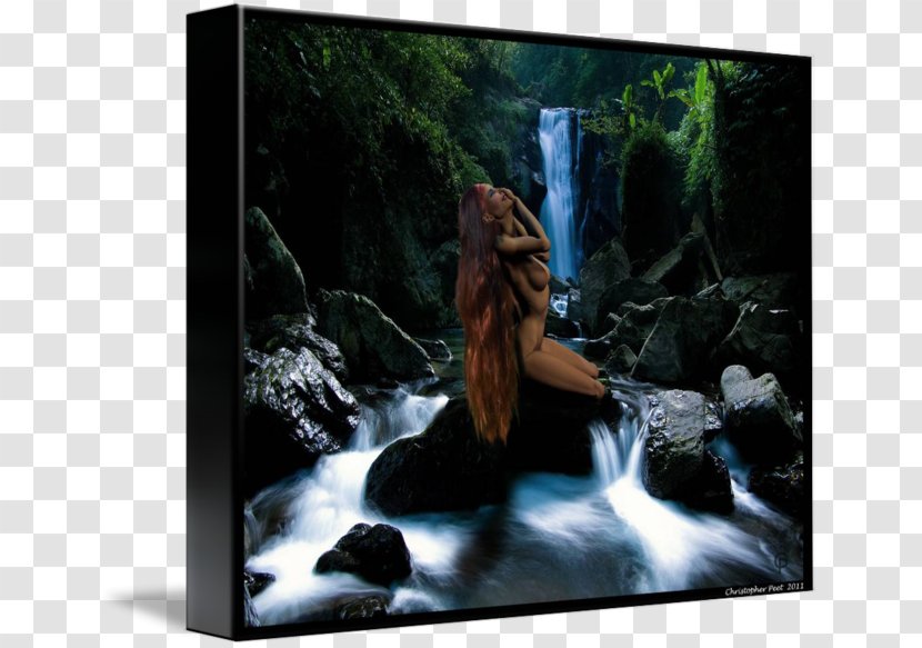Laptop Desktop Wallpaper 1080p High-definition Television Computers Transparent PNG