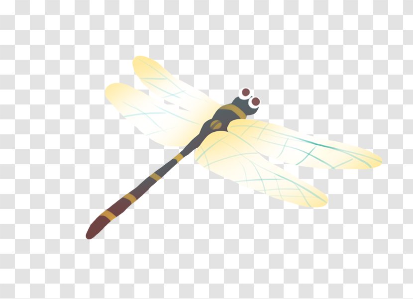 Yellow Beak Pattern - Lovely Dragonfly Transparent PNG