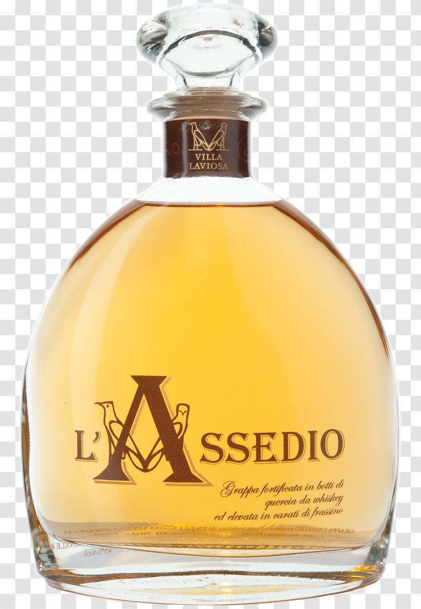 Liqueur Distilled Beverage Grappa Scotch Whisky Gin - Wine Transparent PNG