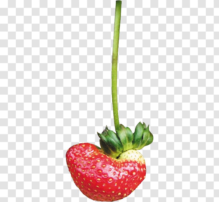 Strawberry Vegetable Food Clip Art - Flower Bouquet Transparent PNG