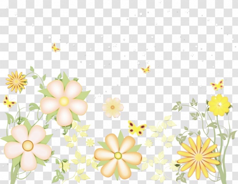 Watercolor Floral Background - Wildflower - Chamomile Petal Transparent PNG