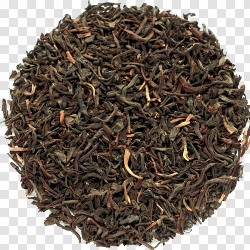 Oolong Darjeeling Tea Dianhong Babington's Room - English Breakfast Transparent PNG