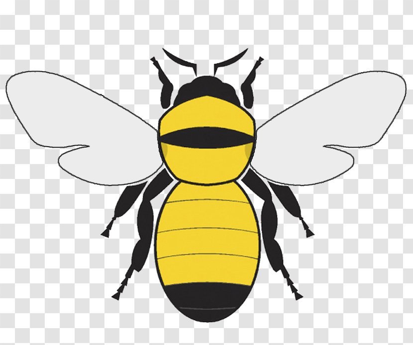 Bumblebee Clip Art - Yellow - Bumble Bee Graphics Transparent PNG