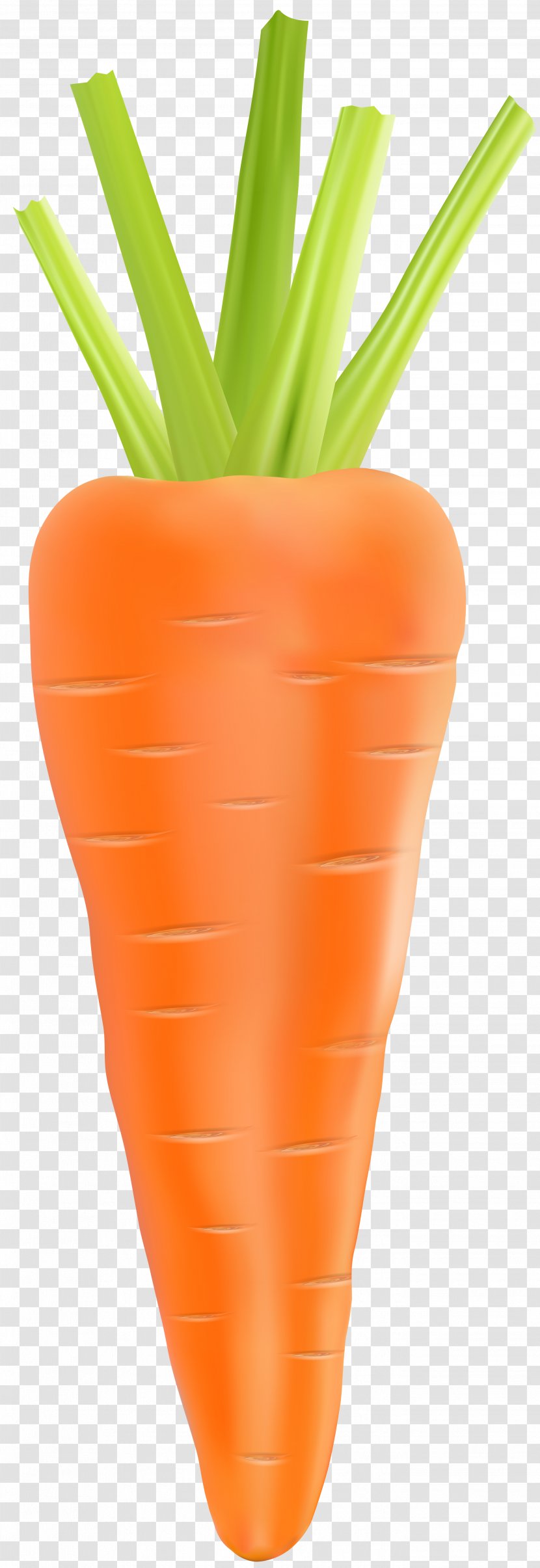 Carrot Vegetable - Stock - Transparent Clip Art Image Transparent PNG