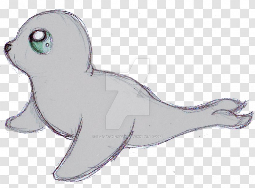 Pinniped Cartoon Drawing Cuteness Harp Seal - Harbor Transparent PNG