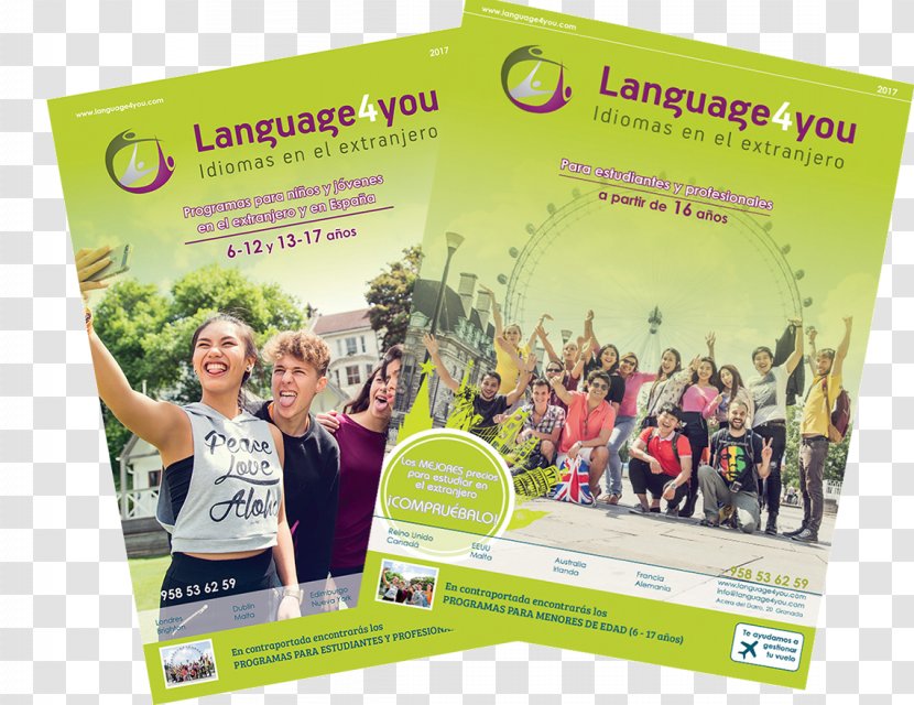 Translation Knowledge Language4you Summer Camp Academic Year - Alli Transparent PNG