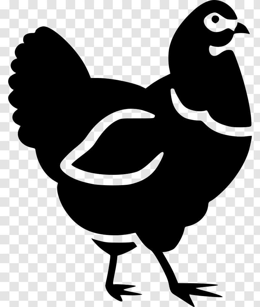 Rooster Cochin Chicken Poultry Farming Broiler Clip Art - Farm - Wing Transparent PNG