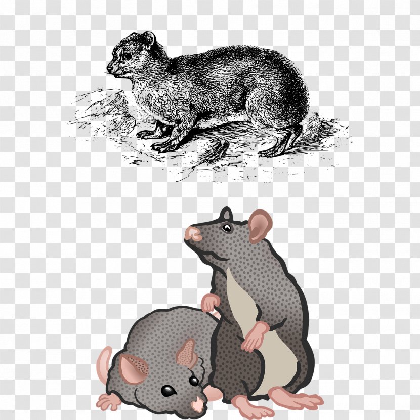 Mouse Rodent Kitten Cat - Organism - A Cute Happy Transparent PNG