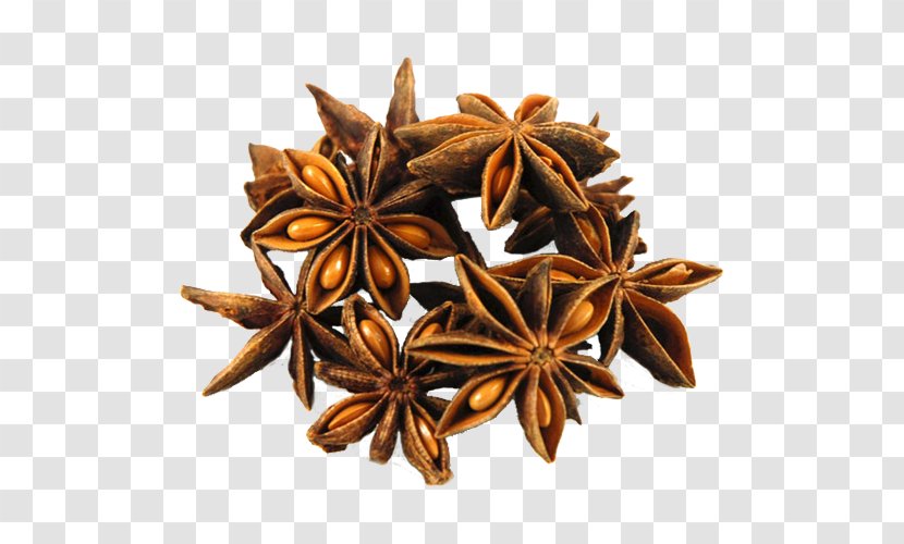 Star Anise Spice Chinese Cuisine Mulled Wine - Aniseed Transparent PNG