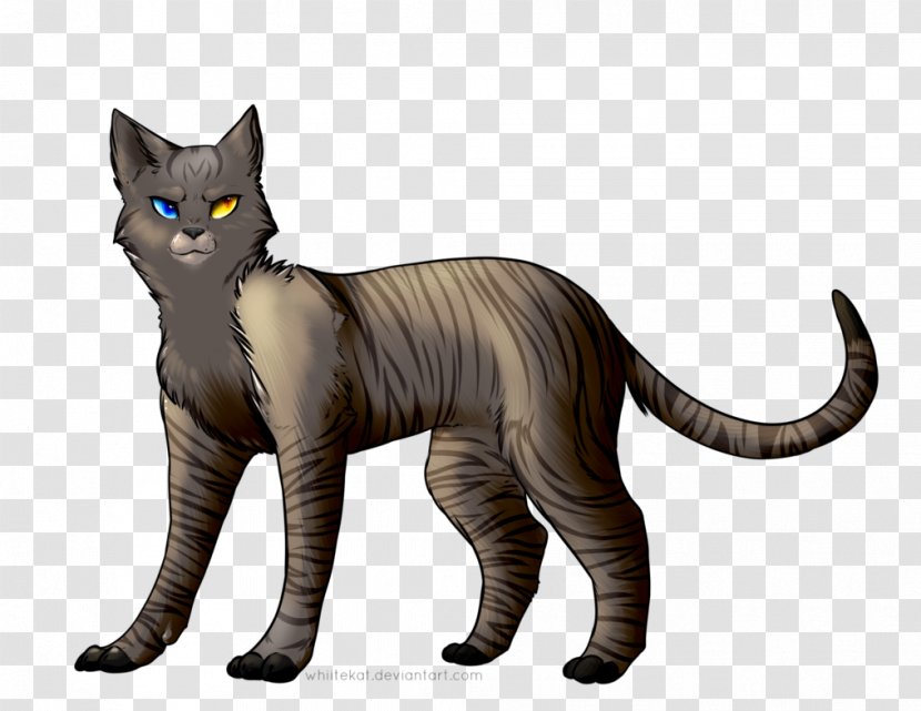 Whiskers Domestic Short-haired Cat Tabby Drawing - Fictional Character - Wakeup Transparent PNG