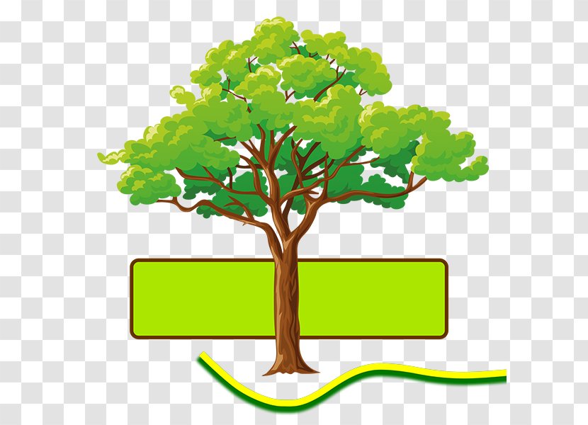 Tree Branch Transparent PNG