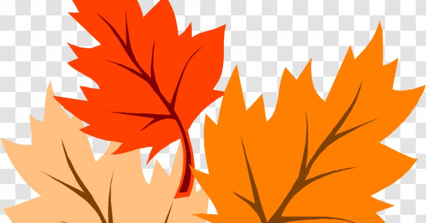 Clip Art Autumn Leaf Color Maple Transparent PNG
