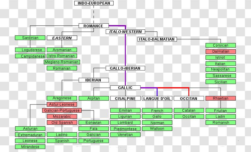 Indo-European Languages Romance Proto-Indo-European Language Family - Green - Zoidberg Transparent PNG