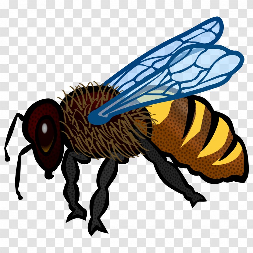 Honey Bee Clip Art - Fly - Bees Transparent PNG