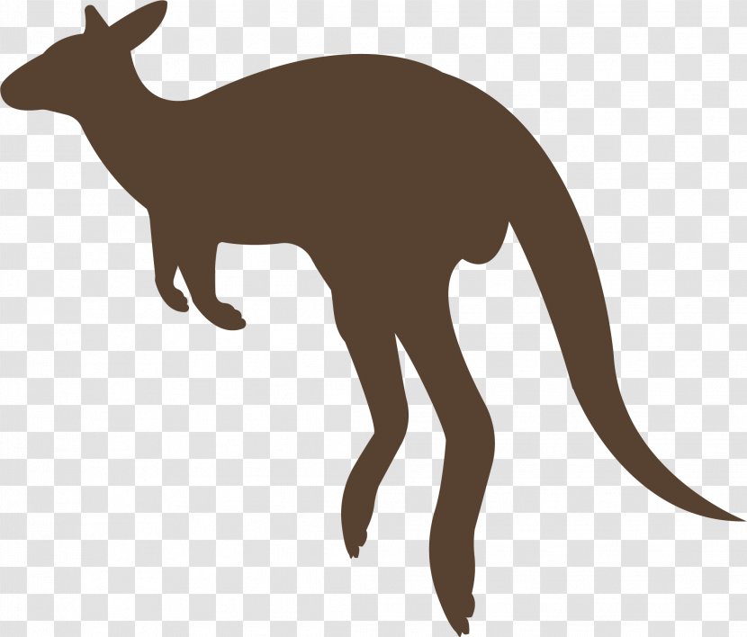 Macropodidae Kangaroo Animal Red Fox Transparent PNG