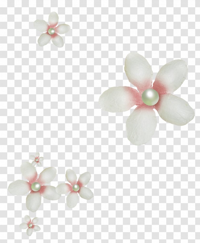 Petal Flower - Earring Transparent PNG