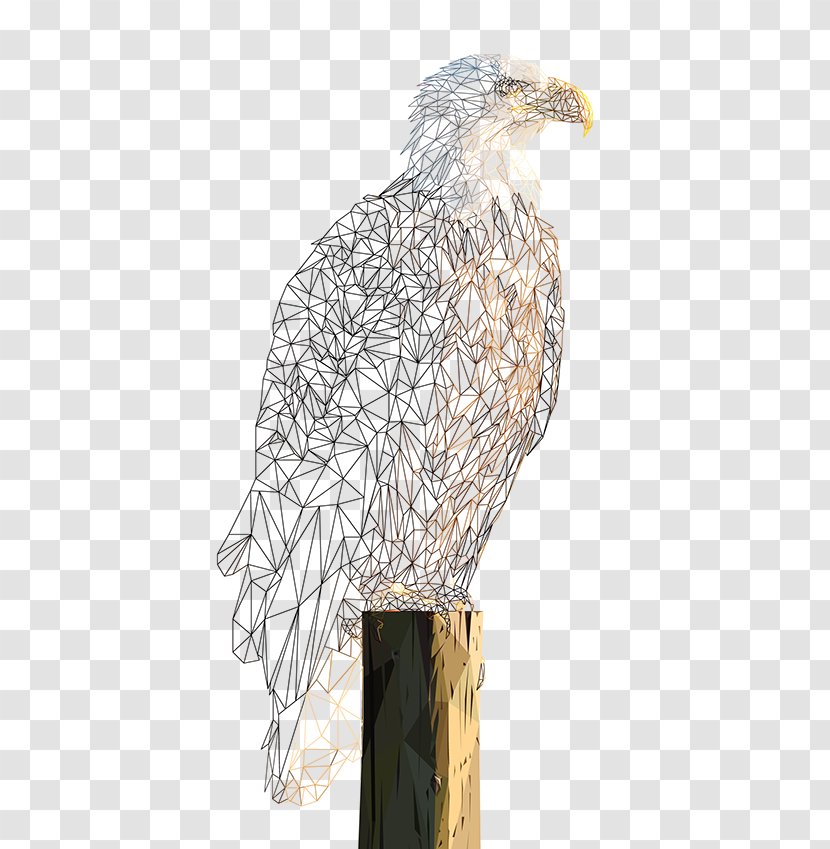 Bald Eagle Hawk Buzzard Transparent PNG