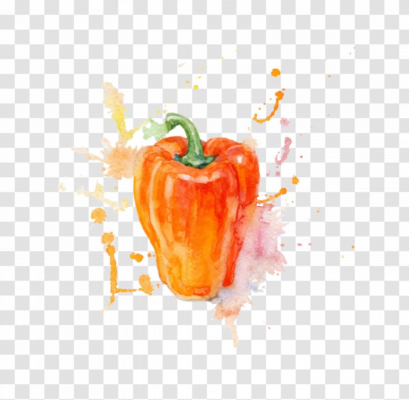 Watercolor Painting Vegetable - Heart - Vector Persimmon Pepper Material Transparent PNG