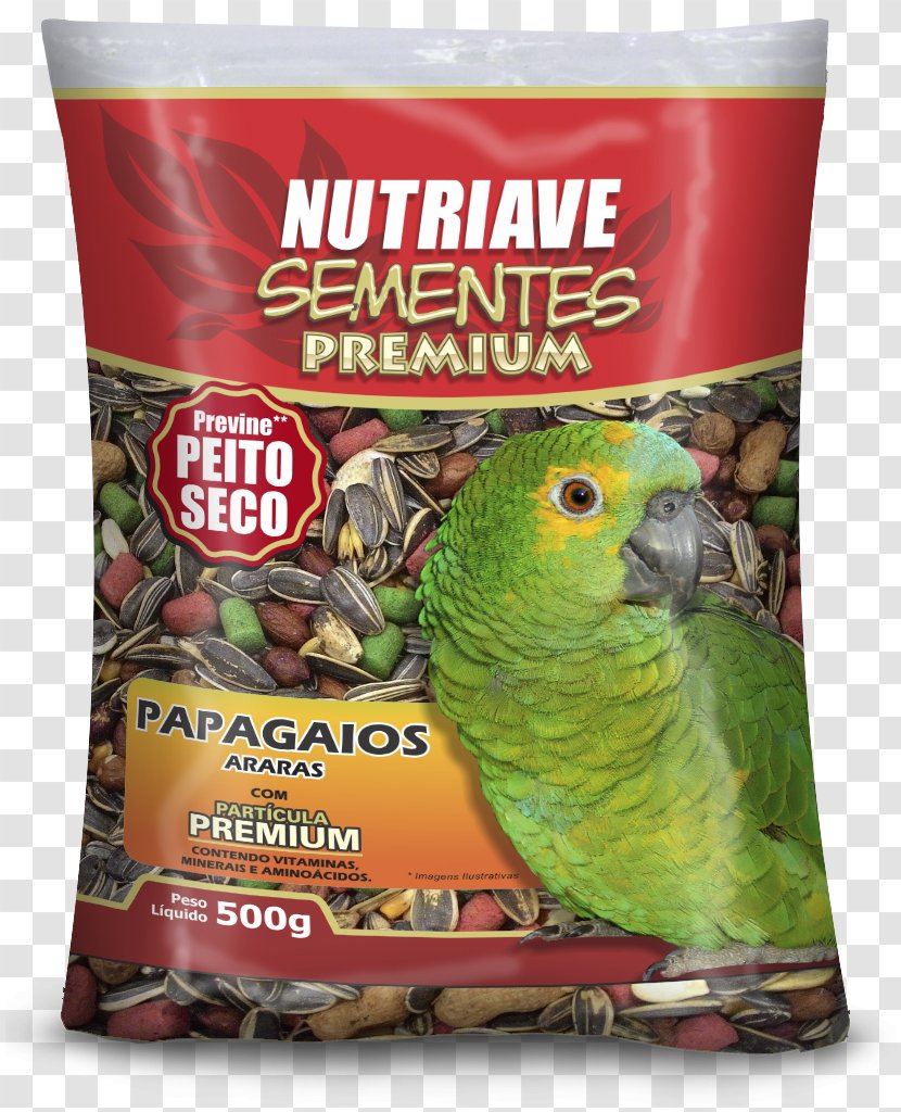 Bird Food Atlantic Canary Pet Parrot - Beak Transparent PNG