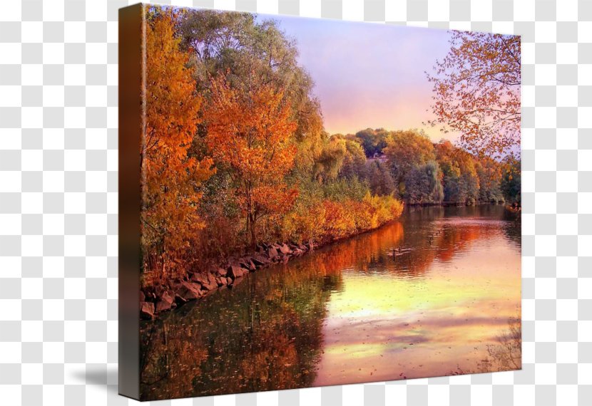 Painting Gallery Wrap Canvas River State Park - Art Transparent PNG