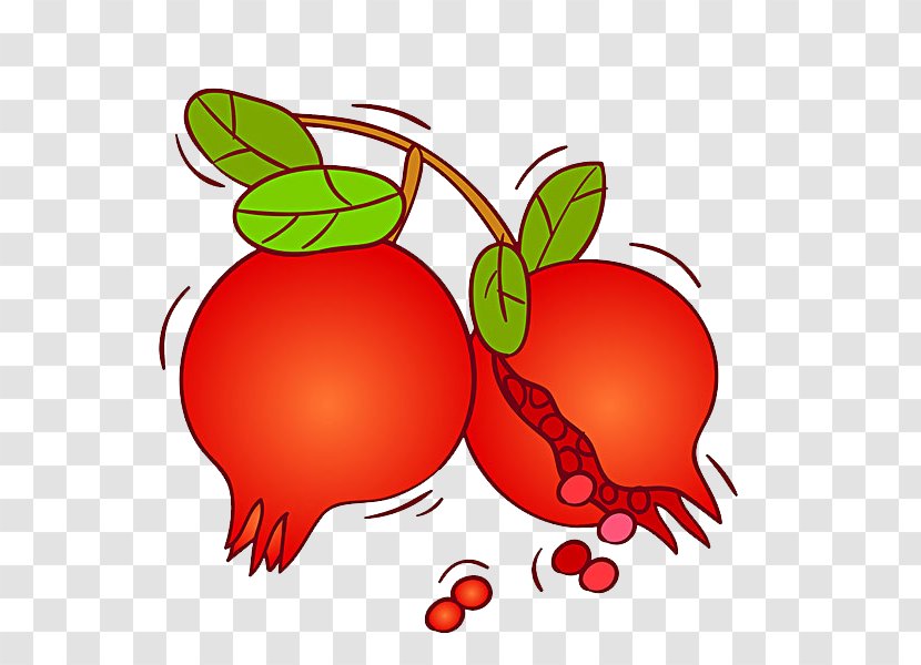 Pomegranate Fruit Auglis - Food Transparent PNG