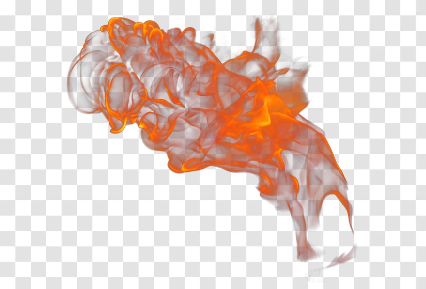 Organism - Orange Transparent PNG