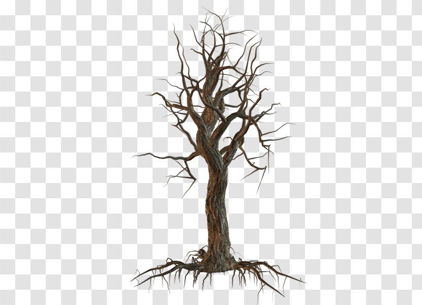 Tree Clip Art - Plant Transparent PNG