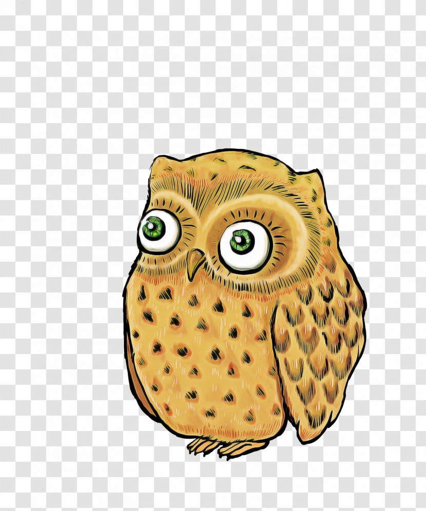 Owls Beak Cartoon Fruit Transparent PNG