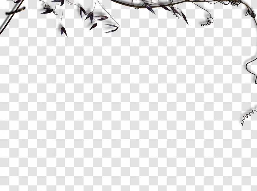 Twig White Line Art Leaf Clip - Character Transparent PNG