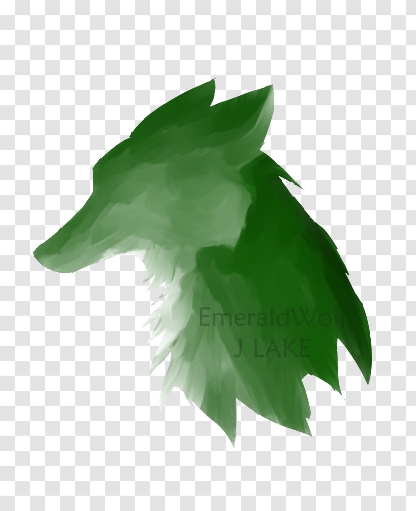 Gray Wolf Emerald Green Desktop Wallpaper - Youtube Transparent PNG