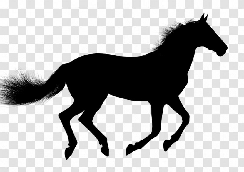 Arabian Horse Mustang Pony Clip Art Vector Graphics - Sorrel - Vertebrate Transparent PNG
