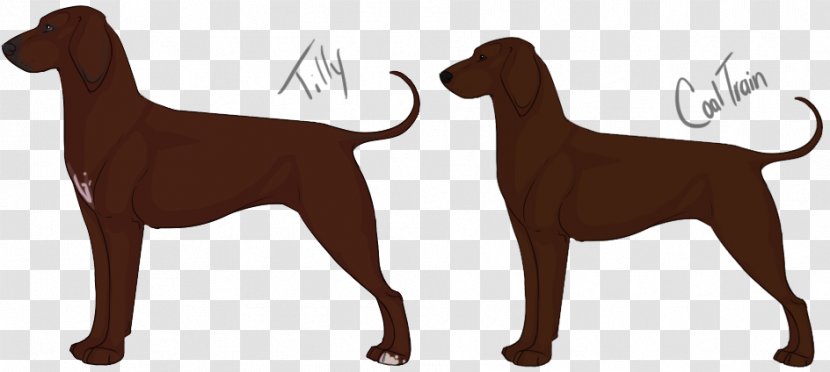 Dog Breed Animal - Redbone Coonhound Transparent PNG