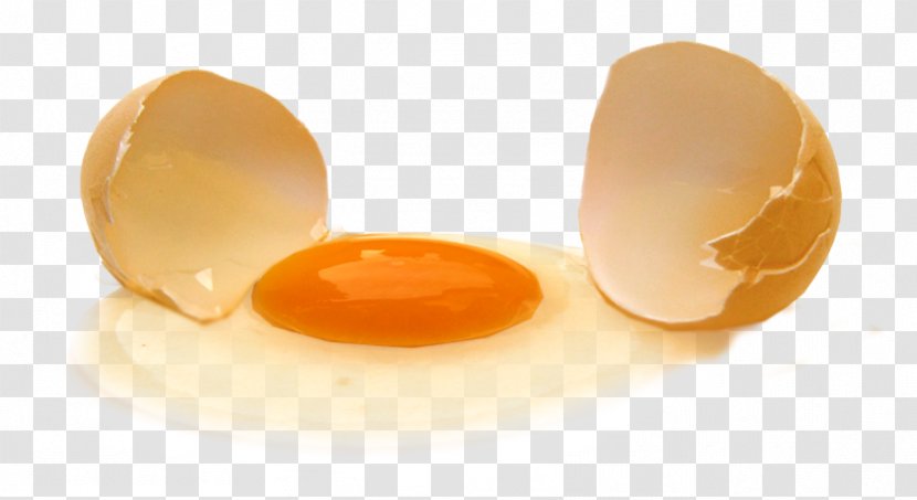 Yolk Chicken Egg White Color - Coop Transparent PNG