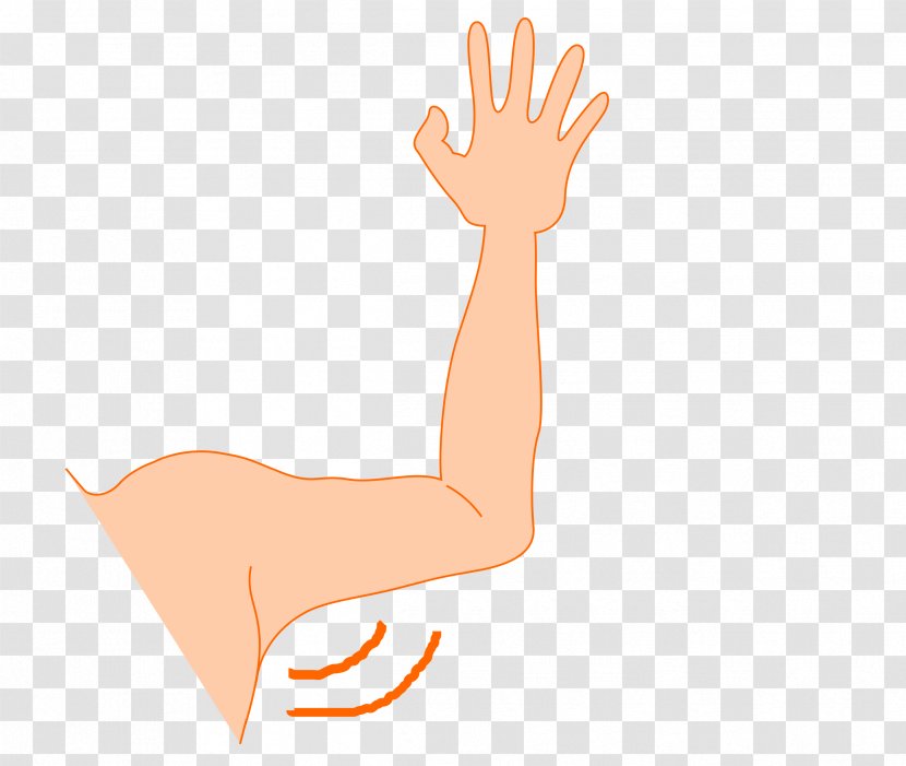 Arm Thumb Axilla Clip Art - Silhouette - Arms Clipart Transparent PNG