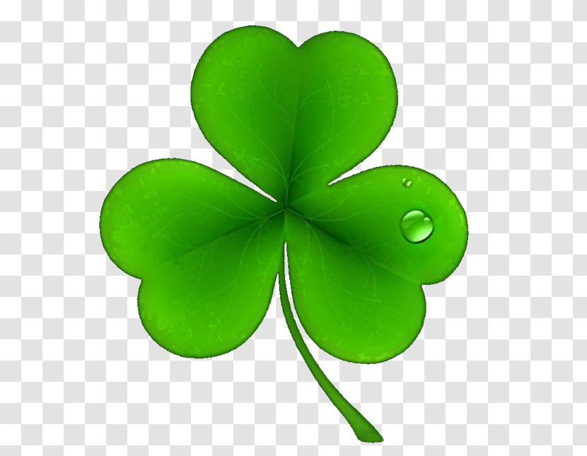 Clip Art For Scrapbooks Shamrock Saint Patrick's Day Four-leaf Clover - St Patricks Shamrocks - Plant Stem Transparent PNG