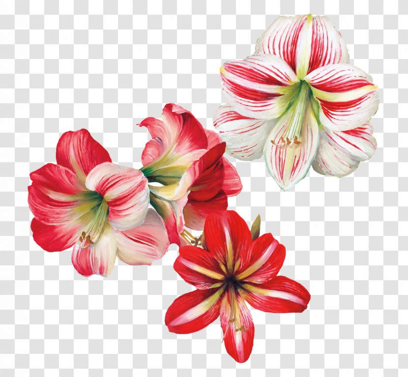 Flower Painting Decoupage Art - Plant Transparent PNG