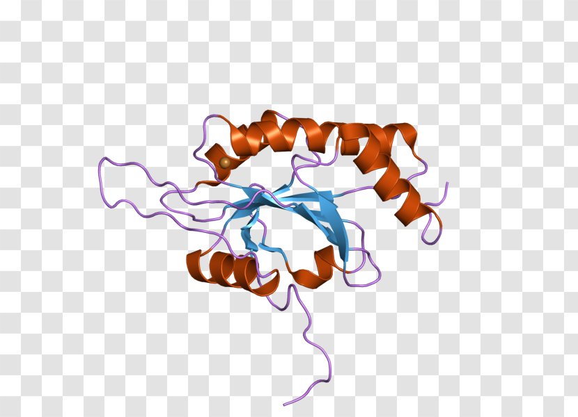 SCO1 SCO2 Protein Organism Clip Art - Cartoon - Watercolor Transparent PNG
