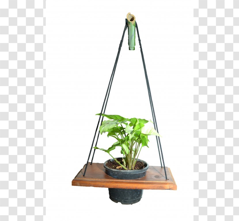 Flowerpot Flower Box Houseplant Plastic Wood - Waterproofing - Creeper Hang On Road Floral Transparent PNG