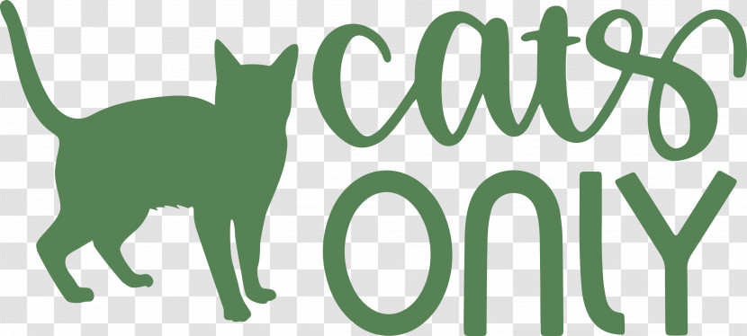 Cats Only Cat Transparent PNG