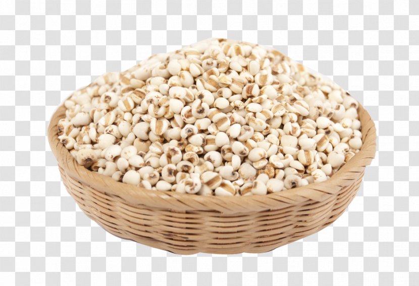 Adlay Cereal Congee Barley U6742u8c37 - Adzuki Bean - Grains Transparent PNG