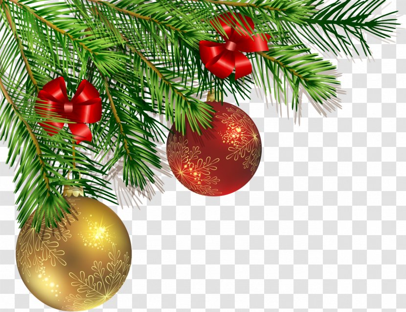 Christmas Tree - Branch - Woody Plant Transparent PNG
