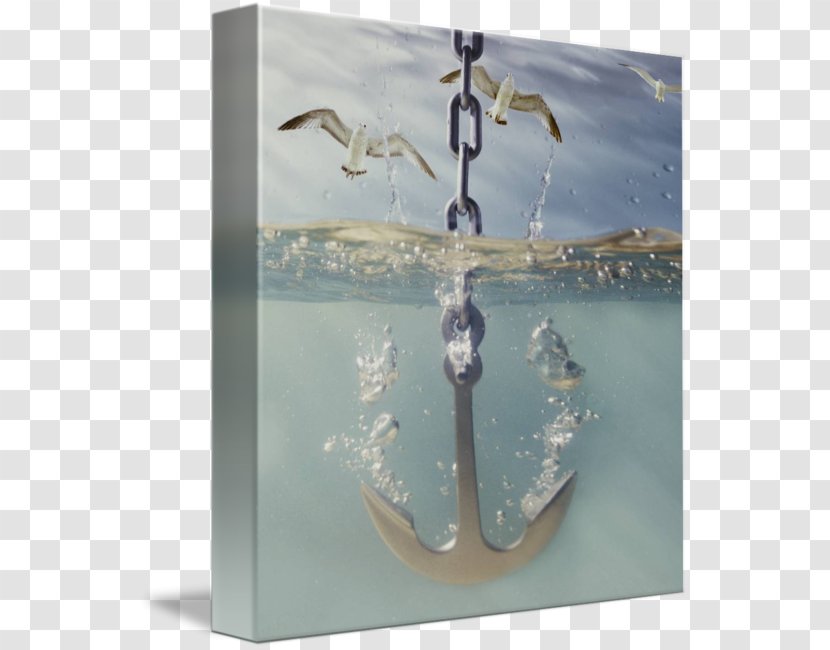 Anchor Boat Photography Water Anclaje - Hobby Transparent PNG