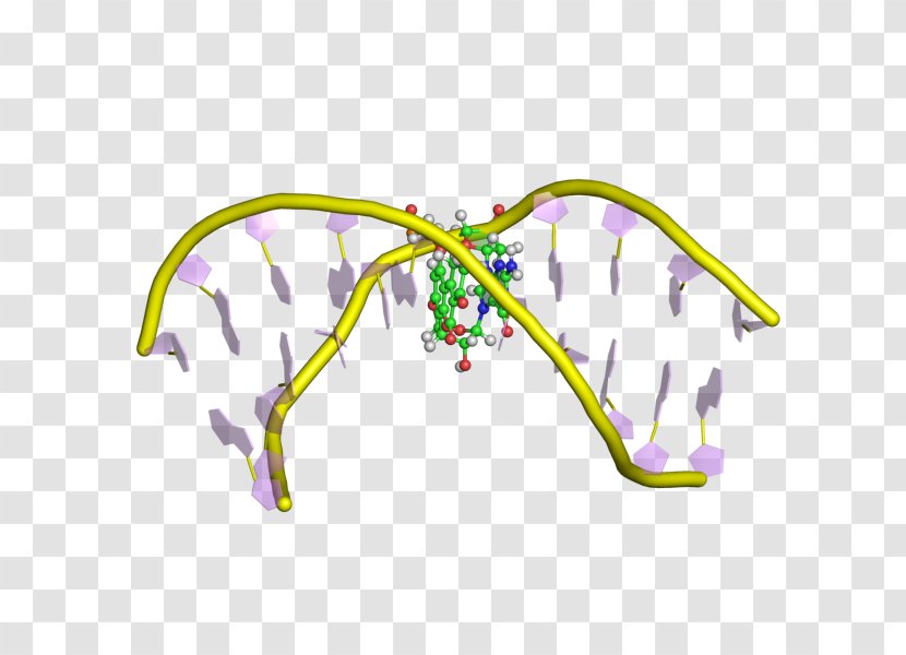 Line Angle - Organism Transparent PNG