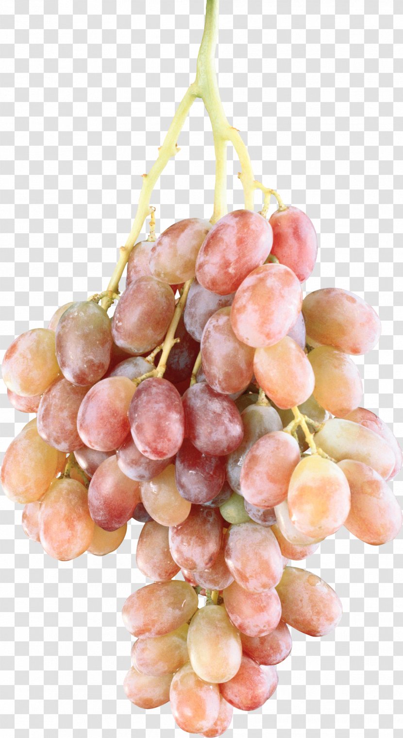 Common Grape Vine Fruit Clip Art - Sultana - Grapes Transparent PNG