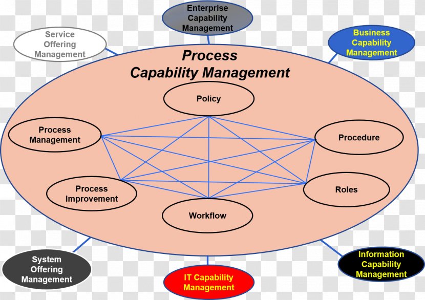 Organization Process Architecture Capability Management Business Transparent PNG