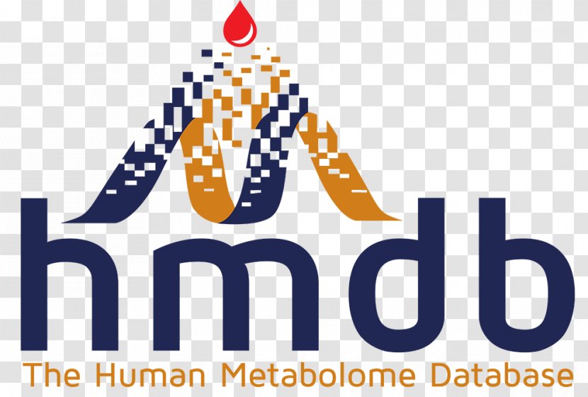 Human Metabolome Database Metabolite Metabolomics Research - Recreation - Airtable Transparent PNG