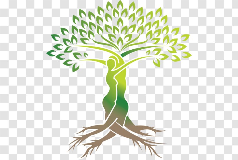 Tree Logo Green - Branch - Life Transparent PNG