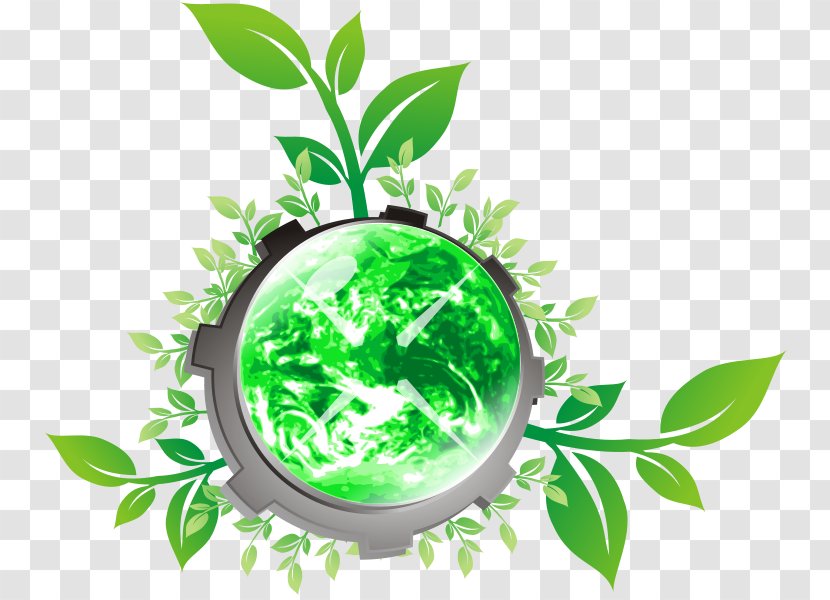 World Clip Art - Leaf - Herbalism Transparent PNG